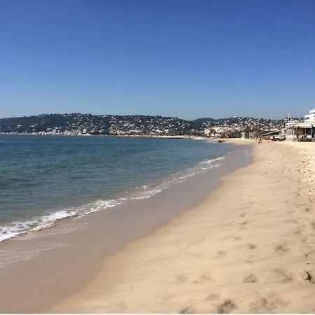 Stylish White And Red